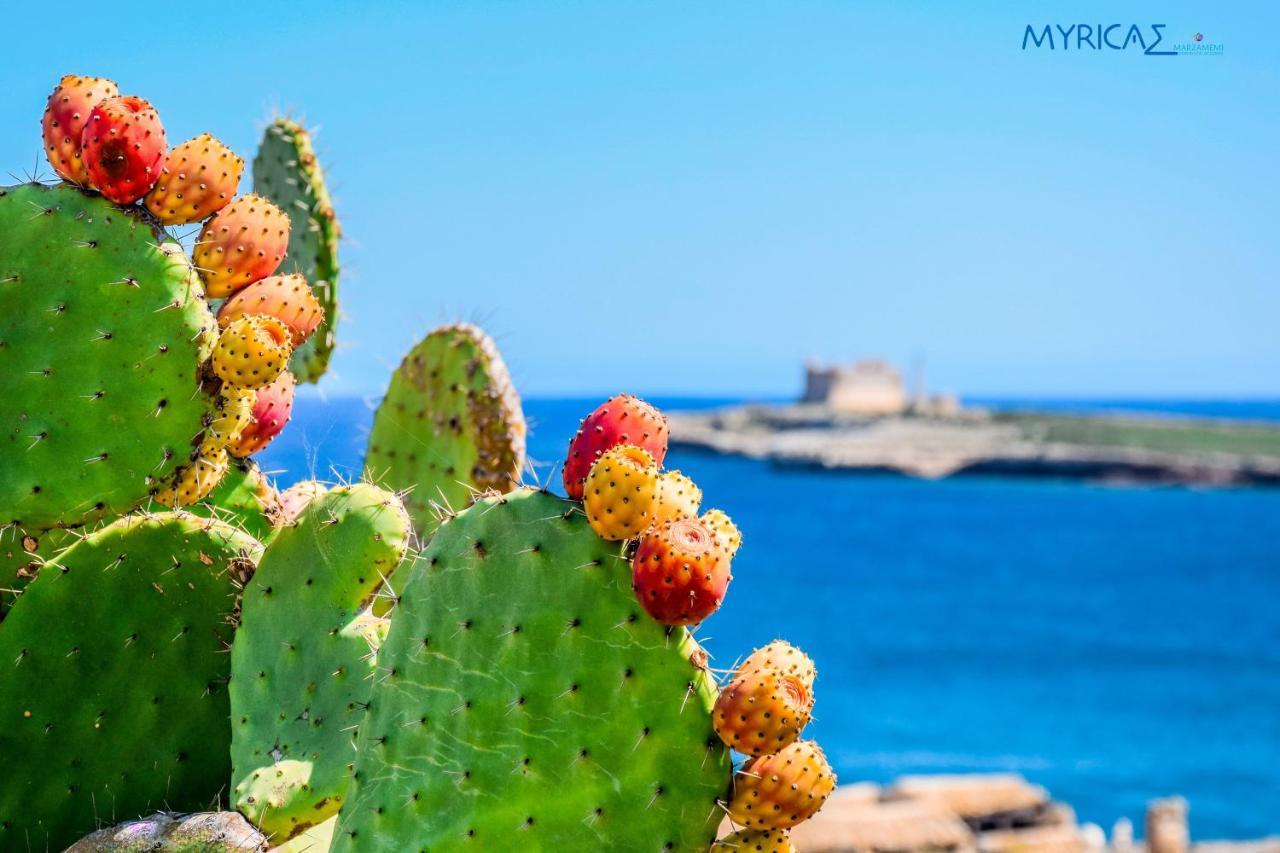 Myricae Marzamemi Ospitalita Siciliana Διαμέρισμα Εξωτερικό φωτογραφία